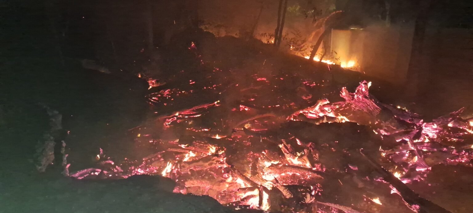 Jamshedpur : सिदगोड़ा के एआईडबल्यूसी स्कूल परिसर में लगी आग, दमकल ने पाया काबू