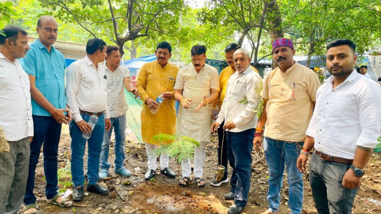 Jamshedpur : विश्व पर्यावरण दिवस पर भाजपा ने किया पौधारोपण