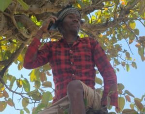 Mobile Network : चतरा के 30 गांव के लोग मोबाइल नेटवर्क से वंचित, पेड़ में चढ़कर करते हैं बात